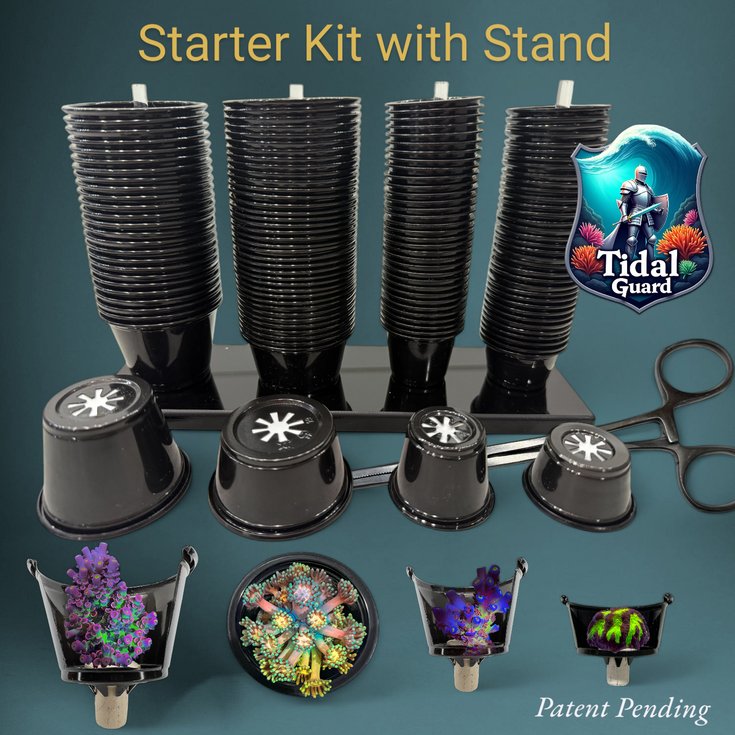 The Starter Package (ships free)